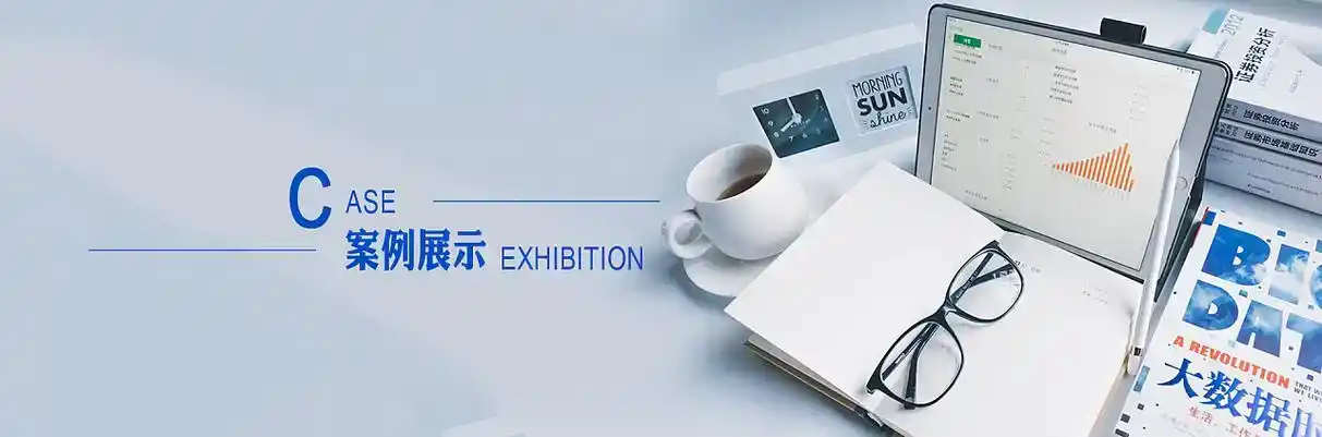 松山区软件开发